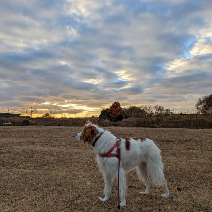 9d6886a7 7126 409c 9ad0 a783614c20ae 1671523868316