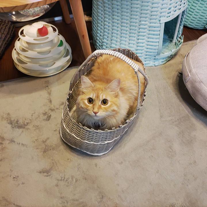 9d688c3a 1c21 410c 86d9 a95abddb7186 1658148603716