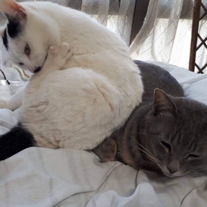 9d6892f4 7b04 4735 bc59 083d16445f1a 1516622440206