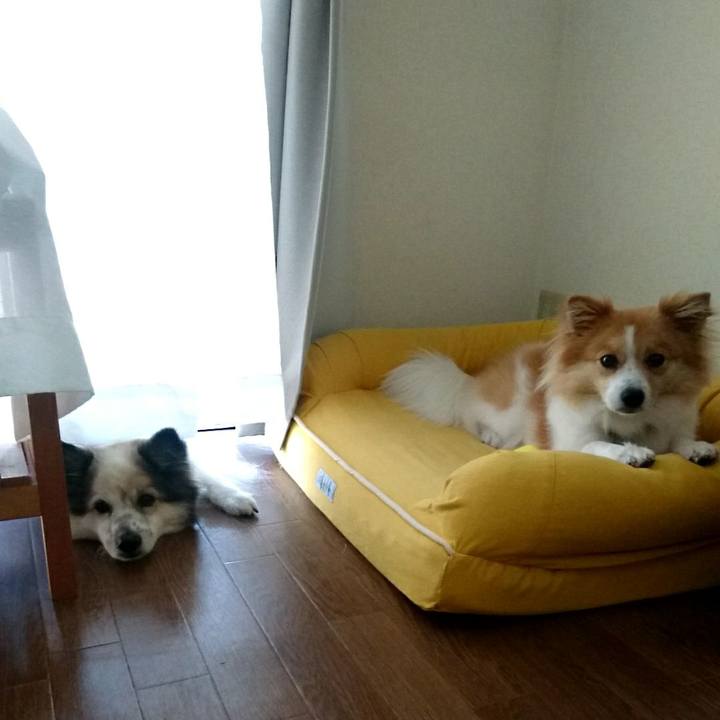 9d689912 4352 4614 9fa3 c6810206e016 1564919525535