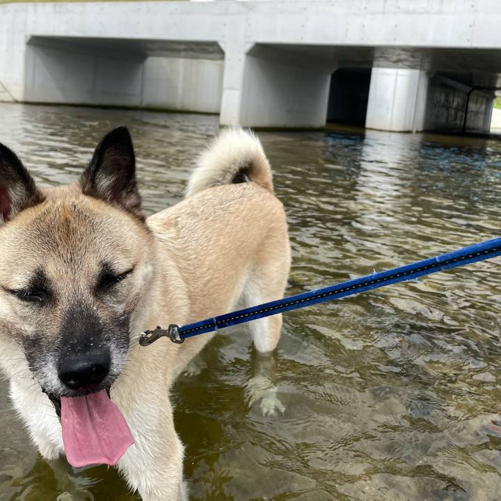 9d68b81b ce02 48e9 a419 b545ff566222 1694848289628