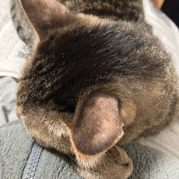 9d68d7e7 9225 4290 91cc ac5d8bf11b9c 1770337671824