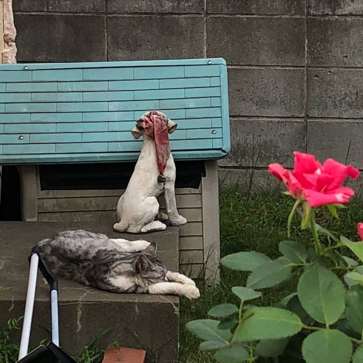 9d692249 d12f 4587 a7b6 491b7db248eb 1534091697424