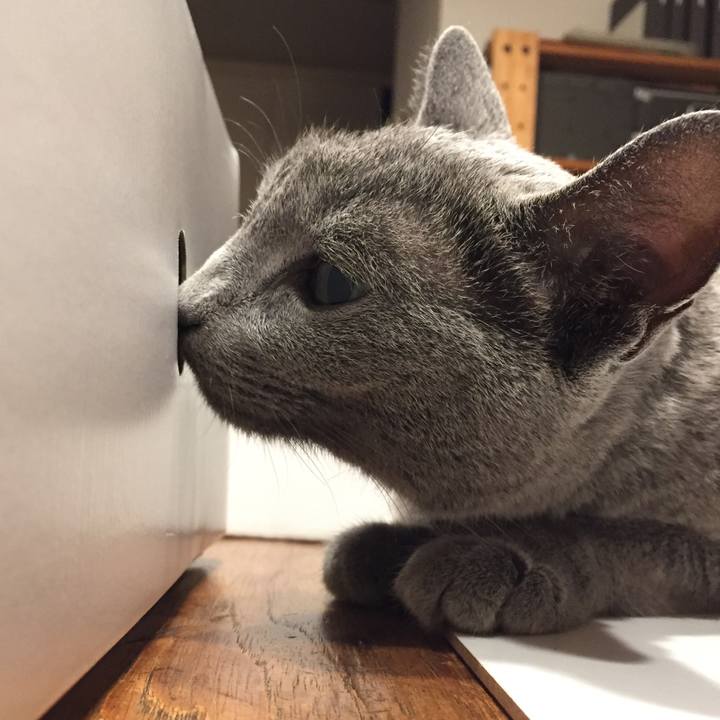 9d692450 8879 49a9 98d3 779ff11270ea 1532153097202