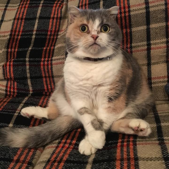 9d694470 8414 4ab7 9a50 4e1c8d9f6f4a 1542883302645