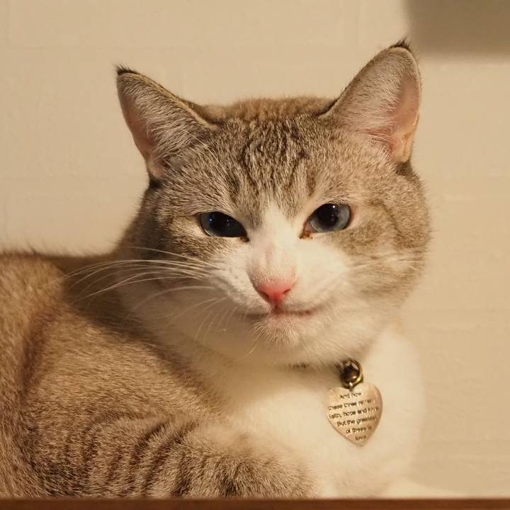 9d6946e2 dc41 4fea ac47 84e68241eb5b 1602511311716