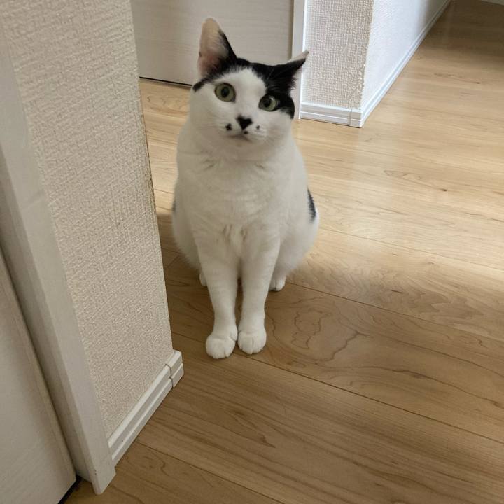 9d695b5f 7fb3 400d b8f3 fefb9ac6f983 1759781630678