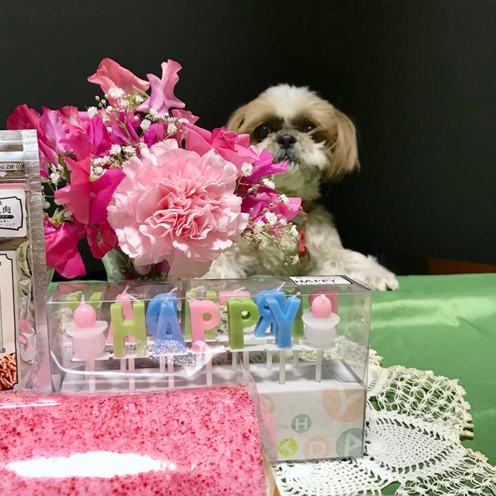 9d69a939 cb13 497a 9422 d3b0836959ed 1522675773248