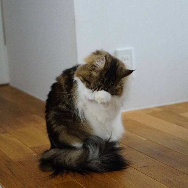 9d69a9ff 69cf 45d8 9a6f dcfbaf48157d 1607677552957