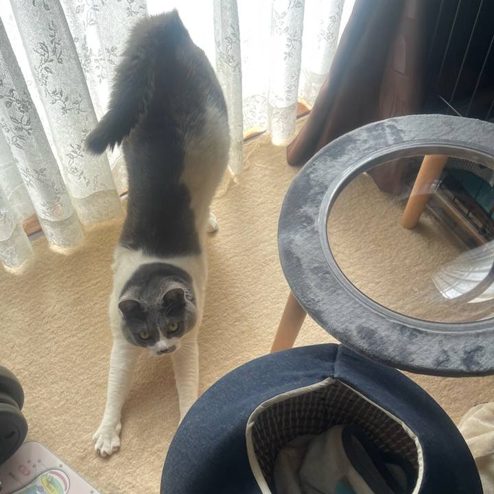 9d69e1e9 3795 4d07 b308 f5454de02f80 1741232631594