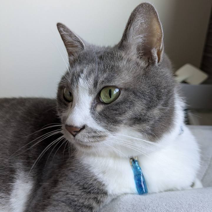 9d69f001 d445 404d 8dea 3020780b8be4 1753497193102