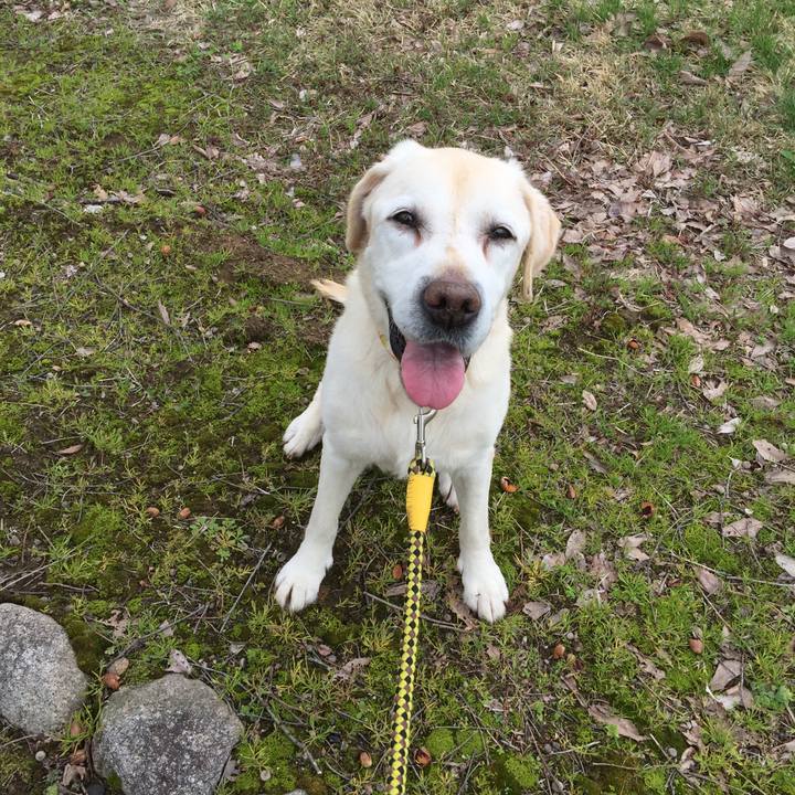 9d69ff6f 90ec 4e34 ae4e dbe9166f2831 1524027933595