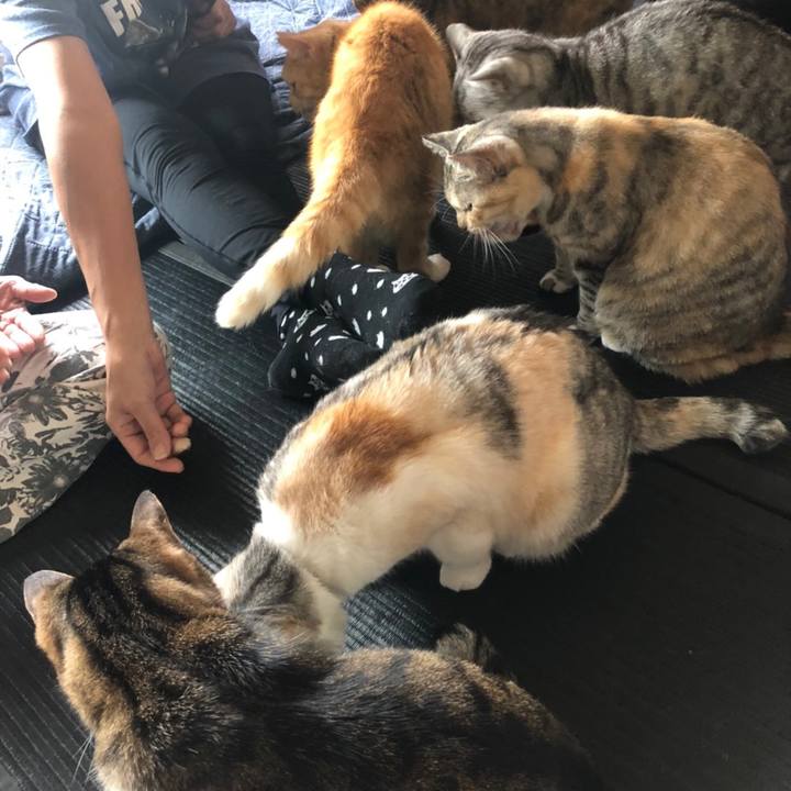 9d6a004d 1e1a 4728 9152 bf7f5c68c181 1590054389569