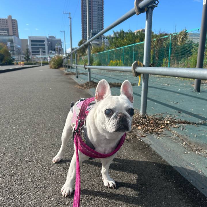 9d6a12da 247d 41c1 82cd 4dd7fe14c192 1731811991444