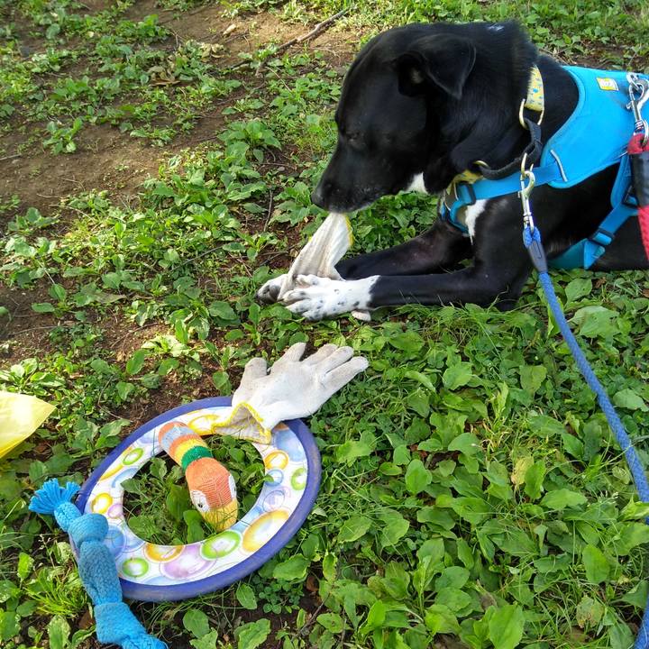 9d6a35ef c9ea 47f3 b515 89c2048dc755 1620091337912