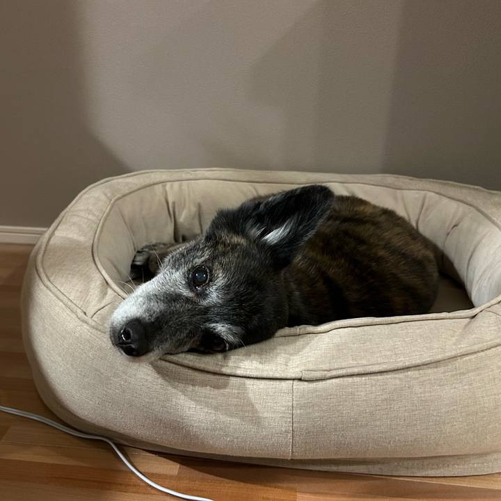 9d6a3657 00d3 4436 b155 b6be48936a77 1717020844524