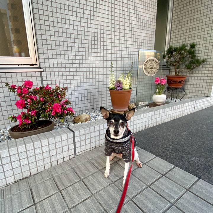 9d6a3eee 0350 433d 971b e54d504fe3ac 1585174275128