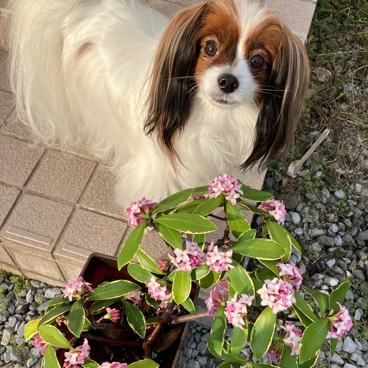 9d6a422d 15c0 4970 91f4 c1d638619e9a 1707867940086