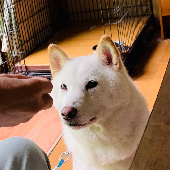 9d6a53da cbf4 402e 8149 036bade9443b 1601151081586