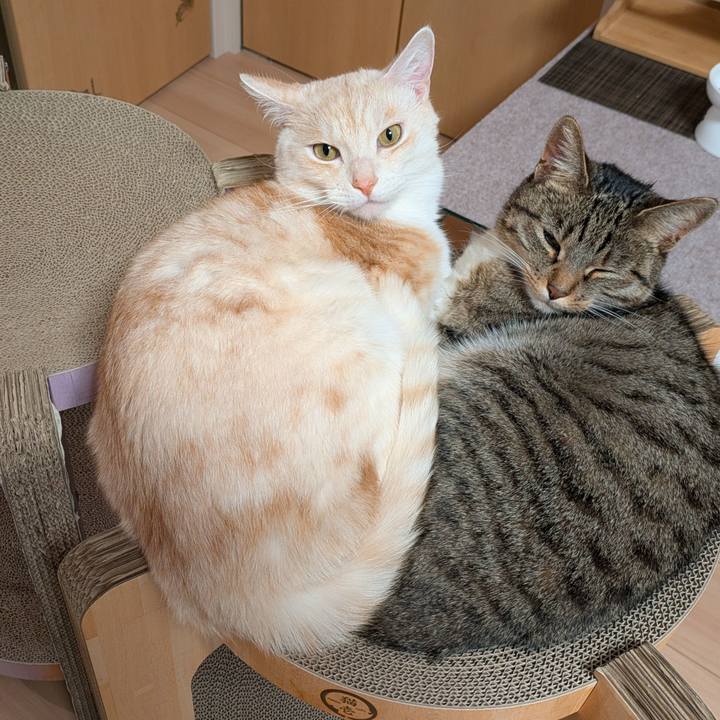 9d6a8243 3121 4539 953f a1eff08271d1 1735304638785