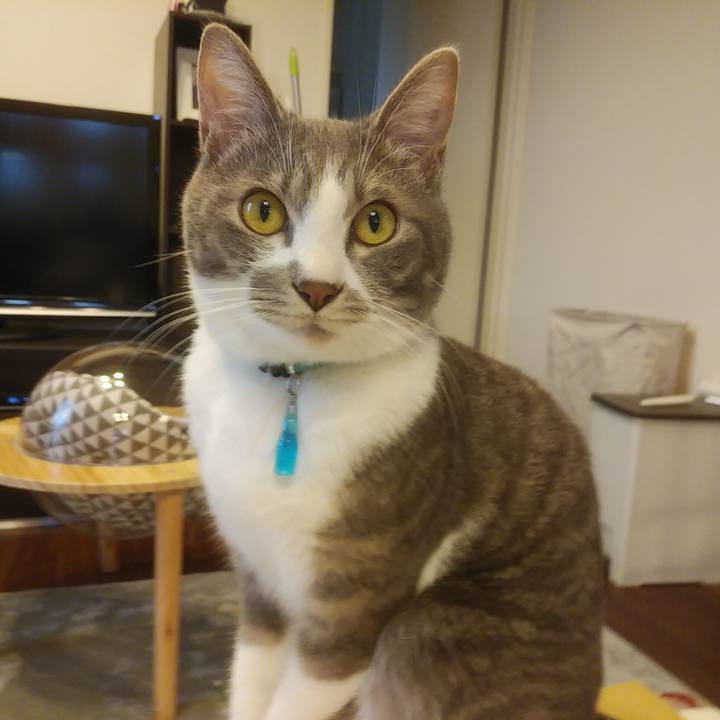 9d6ab346 1f3a 4956 bc7b 20ba2cd9eba0 1587715083409