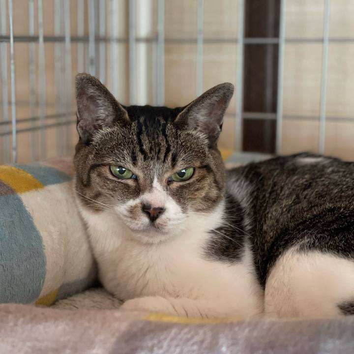 9d6ab54b e8f3 4976 a7be b69c9f5b6875 1659483017779