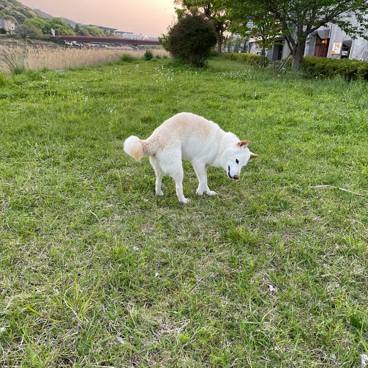 9d6ac359 60d8 4987 b31f 87b7042eae2b 1650461393518