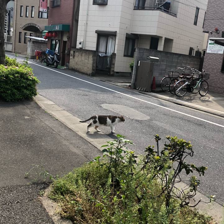 9d6b4609 33fb 45a3 a051 e1e369051737 1555680966569