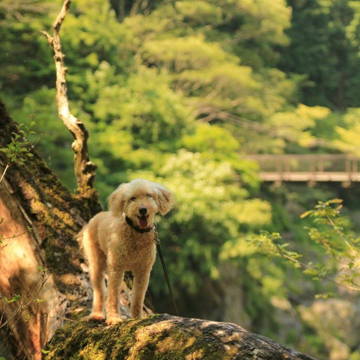 9d6b4804 dd12 442e b905 10719380144e 1630209426569