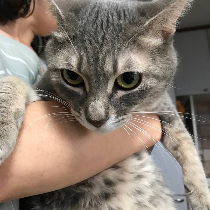 9d6b515a cc28 4032 b7c1 92bd818431d0 1569296101450