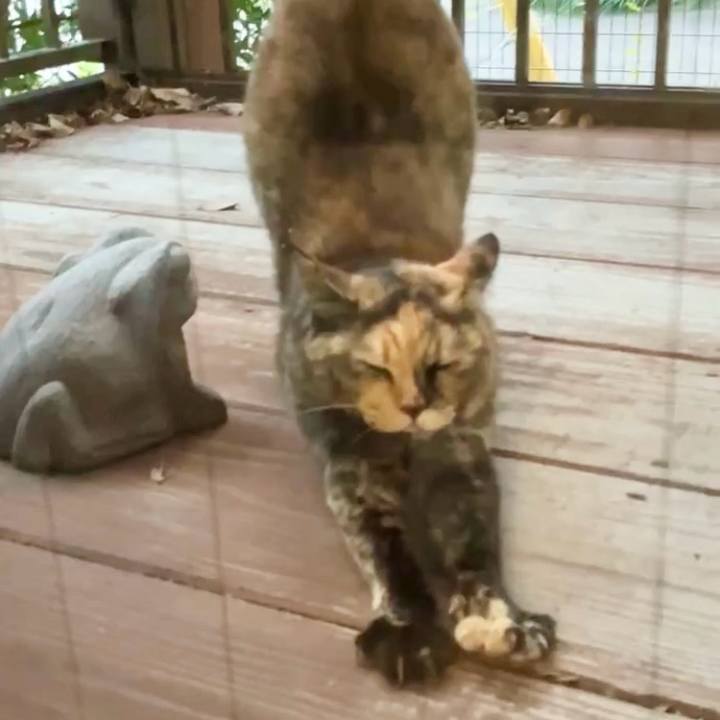 9d6b7ea9 af76 4ba9 b21d 12c02608c1c5 1731836983082