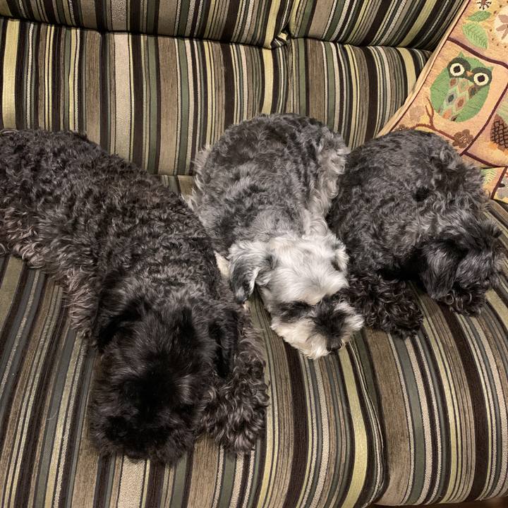 9d6b7ee7 cf9e 4ab1 9e51 0e9bc1d83474 1594459999082