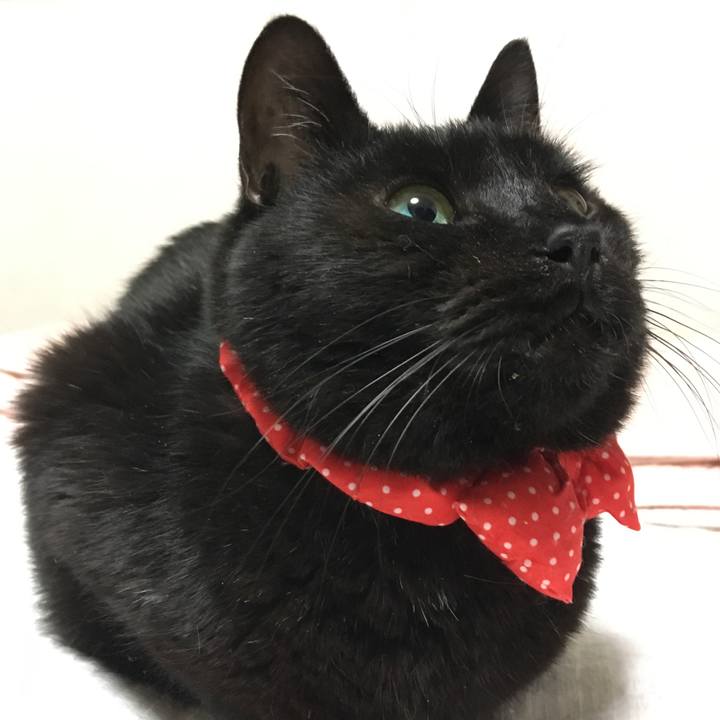 9d6bb6e9 6639 4e54 a64a 1d99f0a6d652 1550754461094