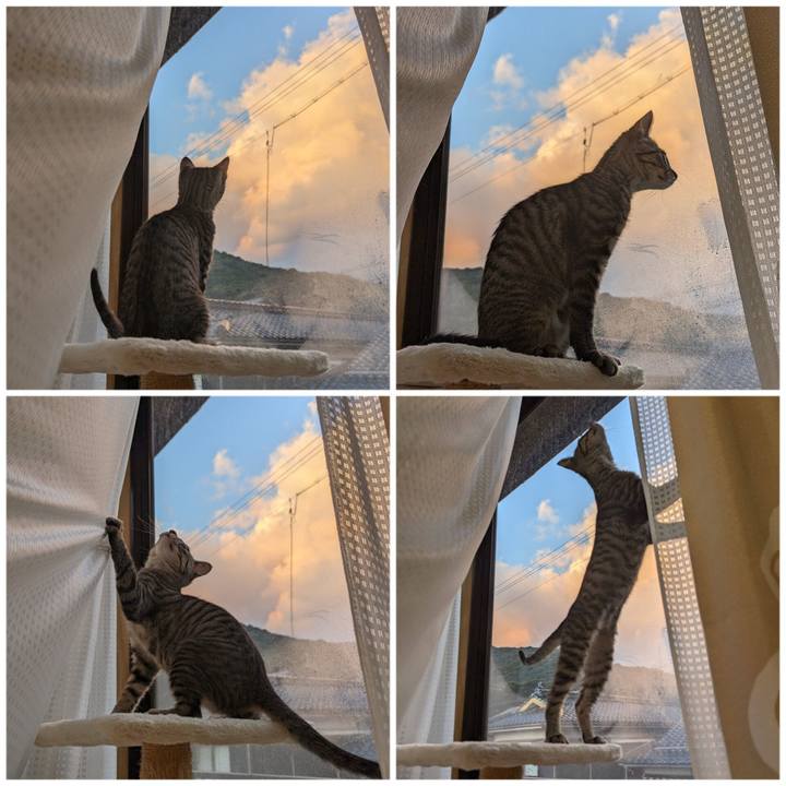 9d6bc660 50e1 4258 a602 6b3eb7574eed 1703479763568