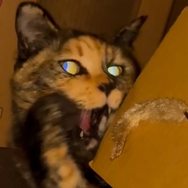 9d6bea16 5e39 472a ac39 84b1133b6b43 1769805269194