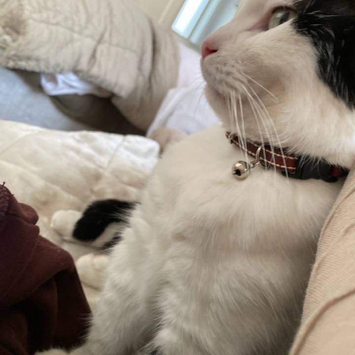 9d6bf1bb 6641 4b6b 8c60 ff64c5a79bee 1761956921795