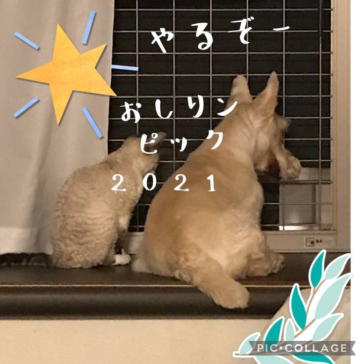 9d6c10c0 5754 4e9f b3c8 0849e2e127b2 1627185266270