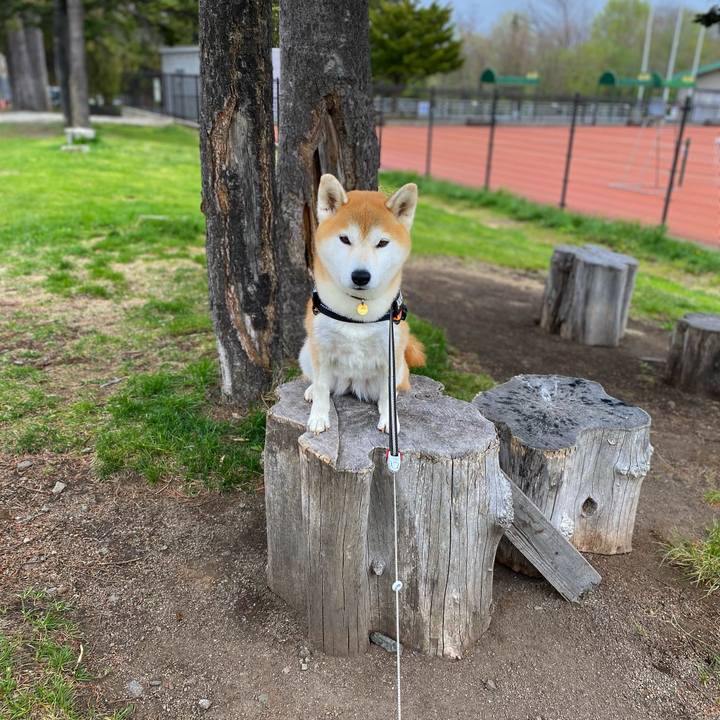 9d6c524e c80a 47ae b7e8 9642299a7b1d 1620692938975