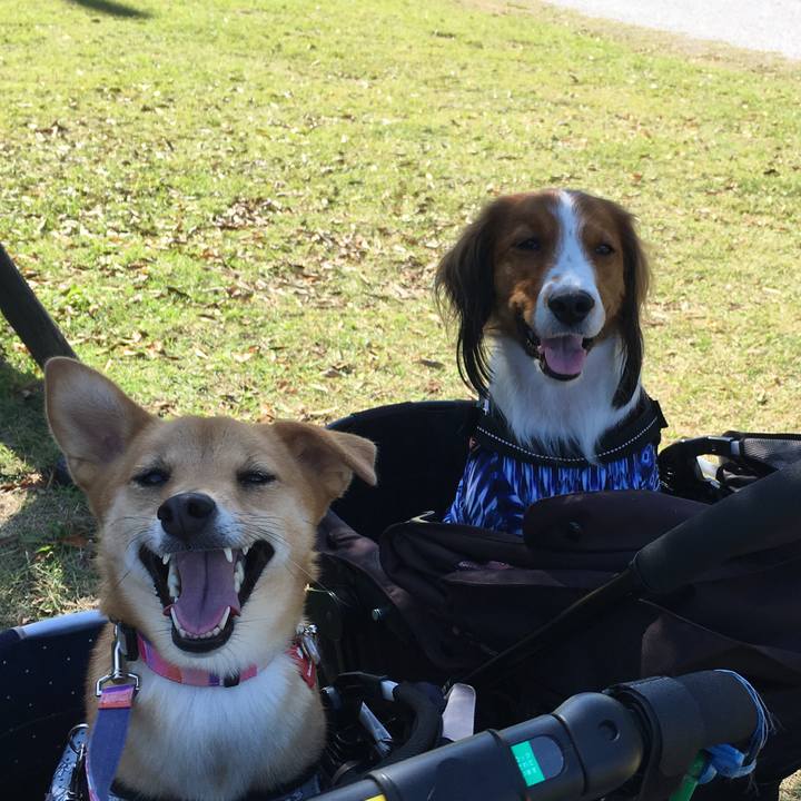 9d6c93f6 b5cd 43d3 a2a7 dda0a2104b94 1540109384656