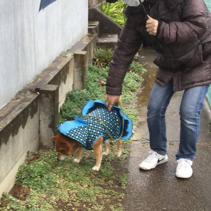 9d6cd090 6a1d 430e a7af 2a60b8c8e46e 1583121453831