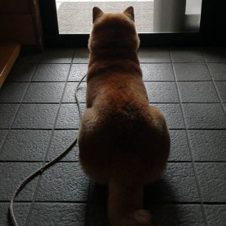 9d6cd142 0400 47c1 8c99 58e72faa3654 1590986258355