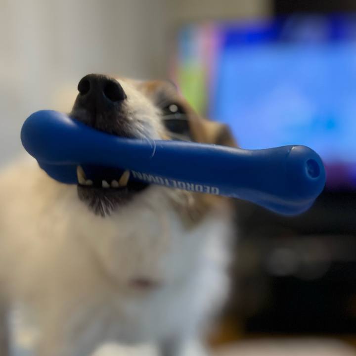 9d6d0651 631f 402e ba70 2f477dc6e98c 1699612959475