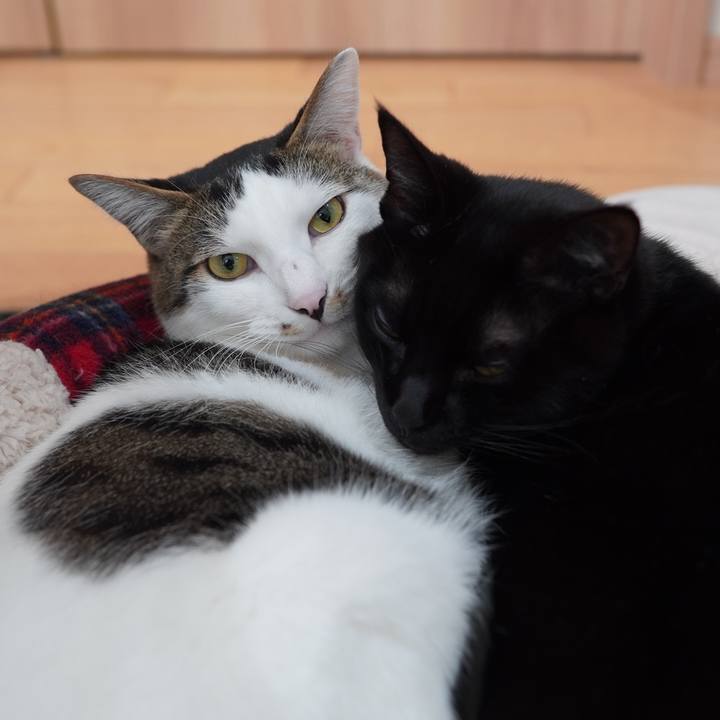 9d6d49f3 8d31 4959 8969 76eab304fbbf 1608734894207