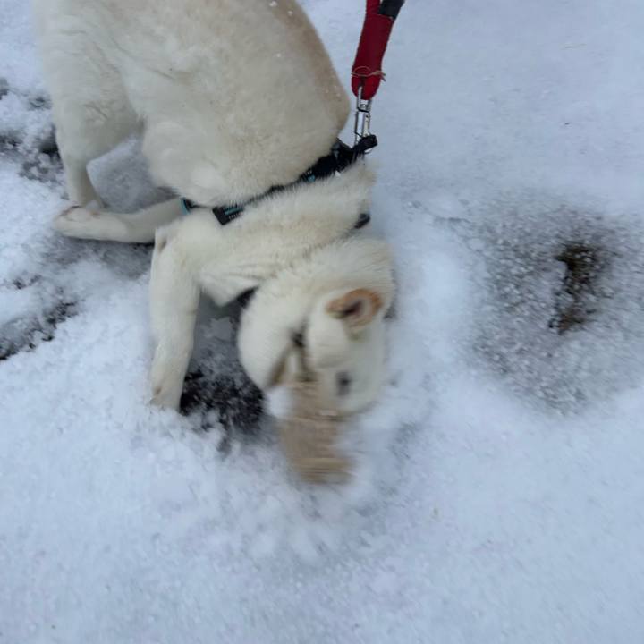 9d6d7d10 77f9 4f63 829d bc81f4093a5f 1730931161436