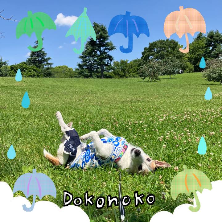 9d6d9ad8 f0a2 4a87 b5a5 3dbcac757873 1718415102376