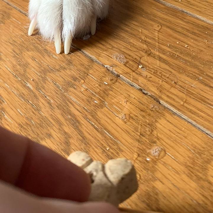 9d6dc822 dd22 4217 bab4 adf883ebc933 1613175511316