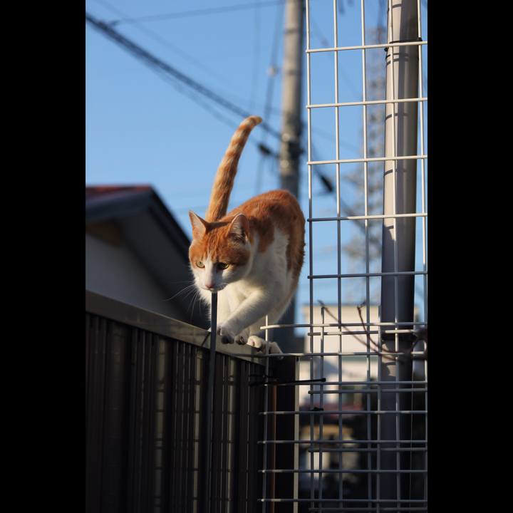 9d6dce59 bd73 438c 844f 8e14e41da456 1517578040649