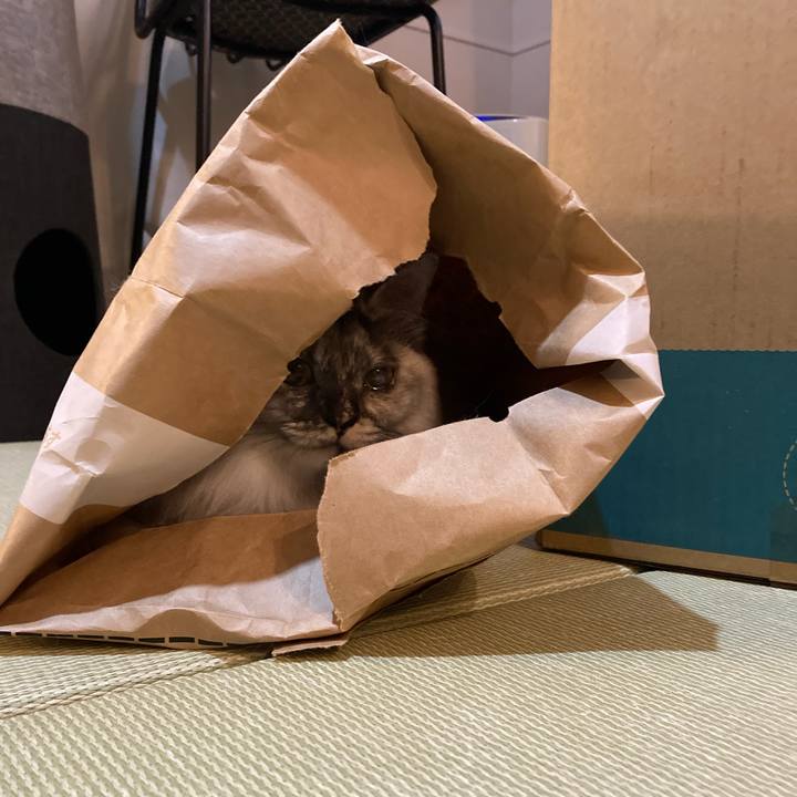 9d6dd597 1c57 4bce 97b0 d60769ad9fa9 1765425676152