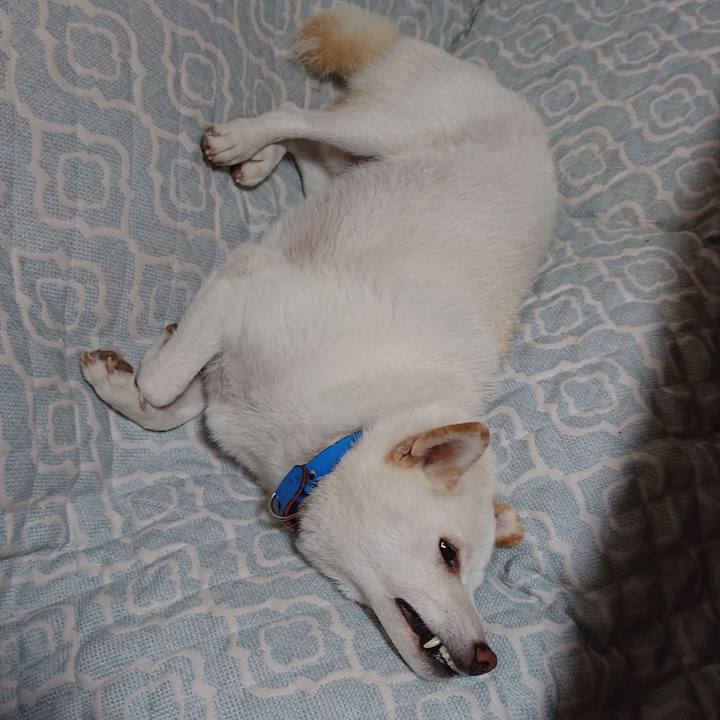 9d6de2d9 982b 4bef a3f6 b78c4da1886e 1600003153940