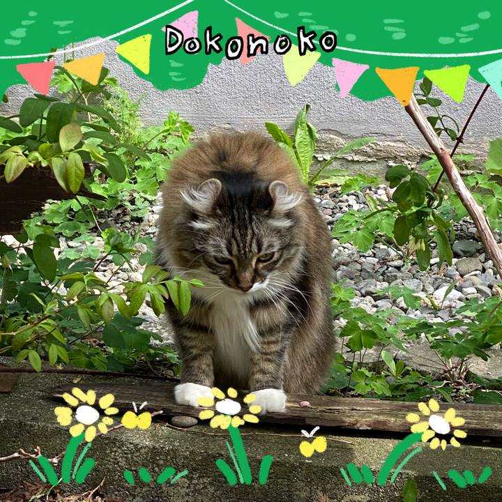 9d6e1261 c89b 4514 a0e4 70040fcaabe4 1711090304229